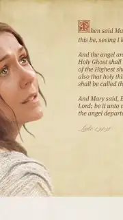 Bible Videos Screenshot 3