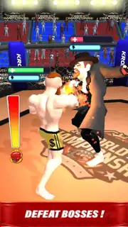 MMA Legends Screenshot 2