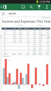 Microsoft Office Mobile Screenshot 2