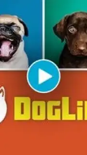 DogLife: BitLife Dogs Screenshot 1