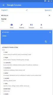 Google Translate Screenshot 3