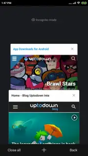 Mint Browser Screenshot 5