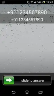 Call Screen Screenshot 1