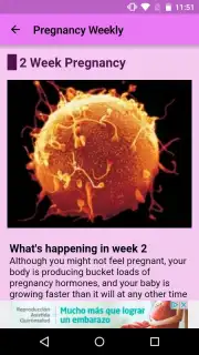 Pregnancy Weekly Screenshot 3
