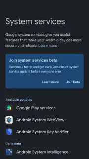 Google Mobile Services (GMS) Screenshot 4