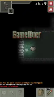 Remixed Pixel Dungeon Screenshot 6