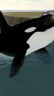 Orca Simulator Screenshot 6