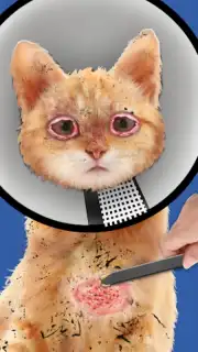 Cat ASMR: Salon Makeover Screenshot 3
