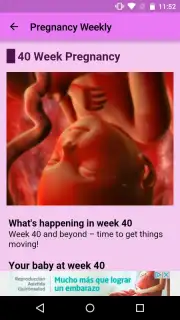 Pregnancy Weekly Screenshot 5
