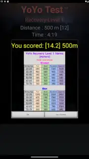 Yo-Yo Test Screenshot 10