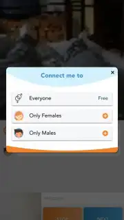 Camsurf Screenshot 3