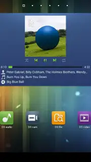 DS file Screenshot 7