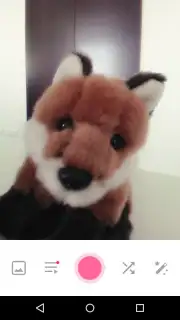 Bestie - Selfies Camera Screenshot 6