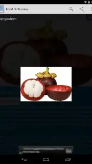 Food Dictionary Screenshot 8