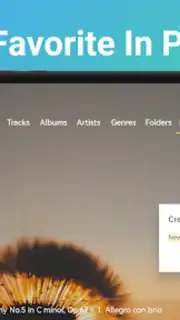 Music Player&Audio:Echo Player Screenshot 1