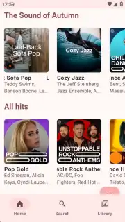 Metrolist Screenshot 6