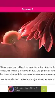 Semanas Embarazo Screenshot 12