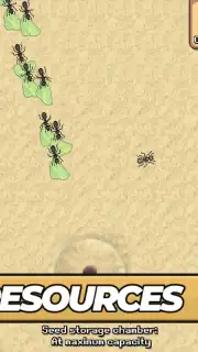 Pocket Ants Screenshot 6