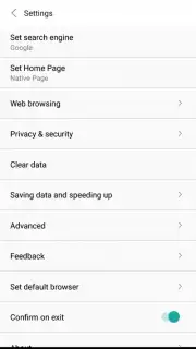 Mini Private Browser: Fast Search, Download, No Ad Screenshot 2
