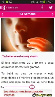 Semanas Embarazo Screenshot 6