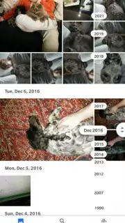 Google Photos Screenshot 4