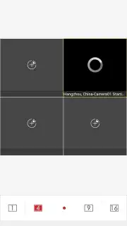 iVMS-4500 Screenshot 8