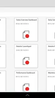 SAP BI Screenshot 4