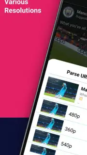 Video Downloader Screenshot 3