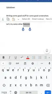 Microsoft Word Screenshot 7
