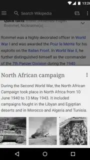 Wikipedia Screenshot 3