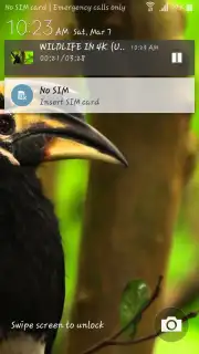 OGYouTube Screenshot 8