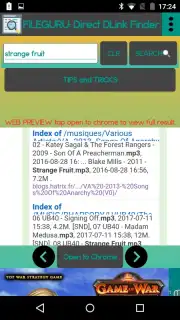 File Guru Screenshot 2