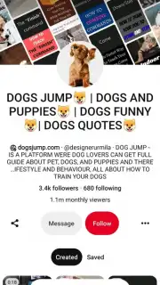Pinterest Screenshot 6