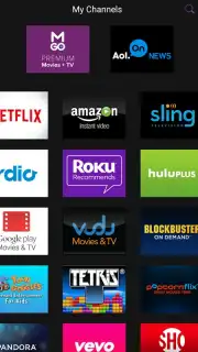 Roku Screenshot 17