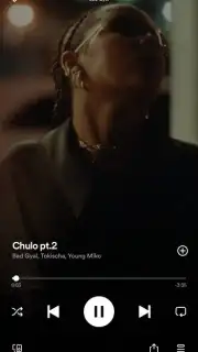 Spotify Screenshot 4