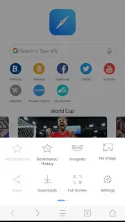 Mini Private Browser: Fast Search, Download, No Ad Screenshot 3