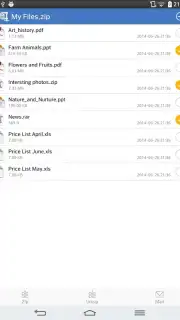 WinZip Screenshot 2