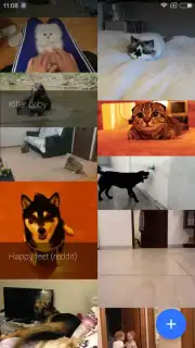 GfyCat Screenshot 7