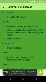 Summer Diet Express Screenshot 1