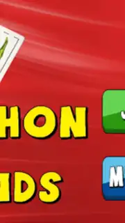 Chinchon and Friends Screenshot 7