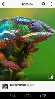 Flipboard Screenshot 8