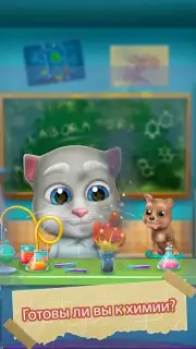 My Talking Bob Cat Screenshot 2