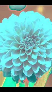 After Effect Screenshot 1