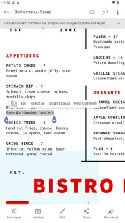 Microsoft Word Screenshot 19