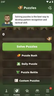 Chess - Play and Learn Screenshot 5