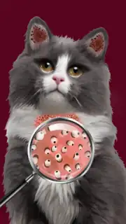 Cat ASMR: Salon Makeover Screenshot 1