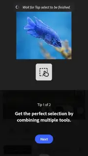 Adobe Photoshop Screenshot 4