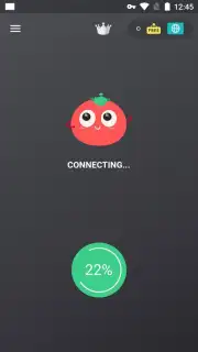 VPN Tomato Screenshot 1