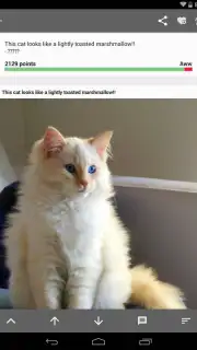 Open Imgur Screenshot 4