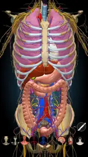 3D Anatomy Learning Screenshot 4